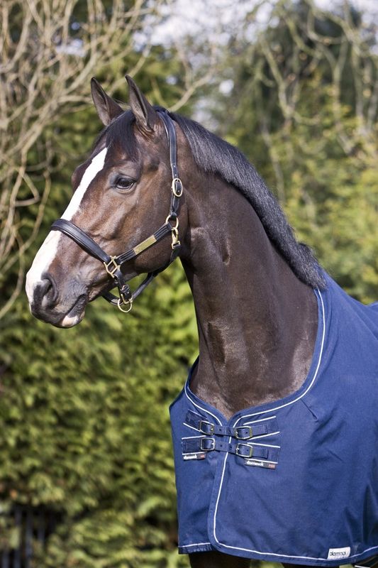 Staldeken Lite - 0gr Dominick