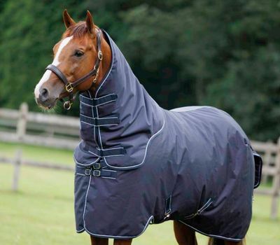 Hals Outdoor 150gr Dominick