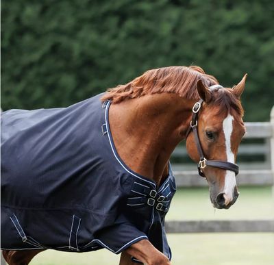 Regendeken Outdoor 350gr Dominick