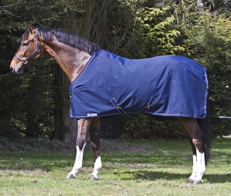 Staldeken 350gr Dominick