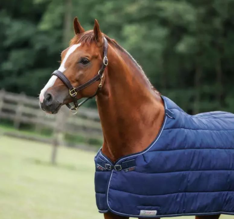 Liner 100gr Dominick