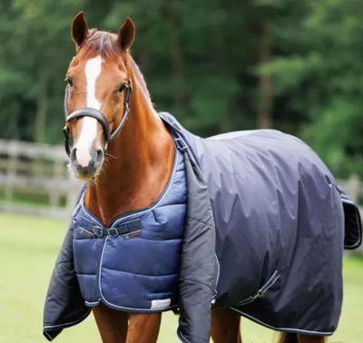 Weidedeken Paddock 0gr Dominick