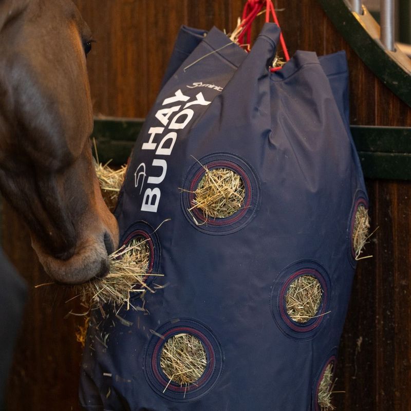 Hay Buddy - slowfeeder Dominick