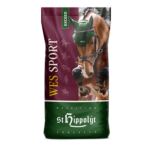 Wes Sport Exceed Wes Sport Exceed