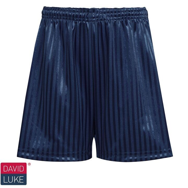 Navy Shadow Stripe PE Shorts