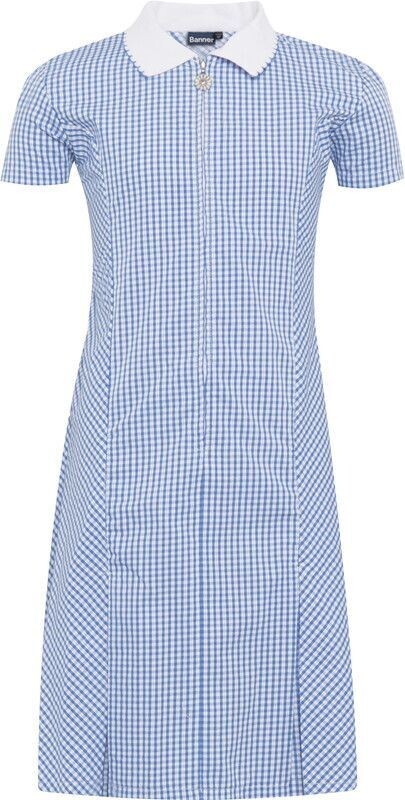 Blue Avon Zip Dress