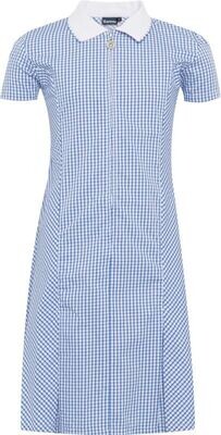 Avon Zip Dress