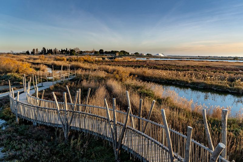 Paysage de Camargue