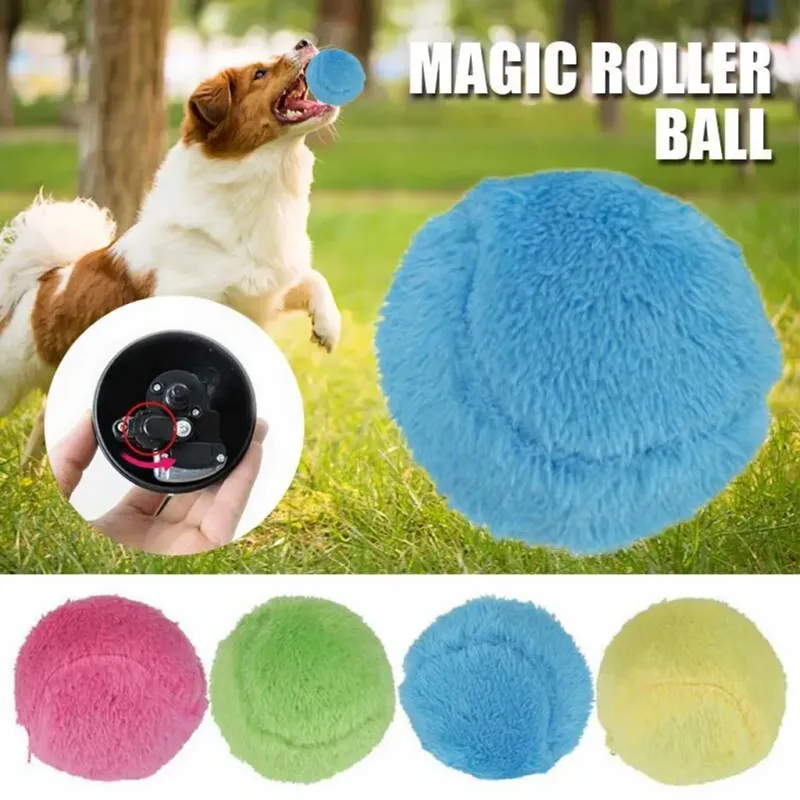 Spiel und Sauber Ball