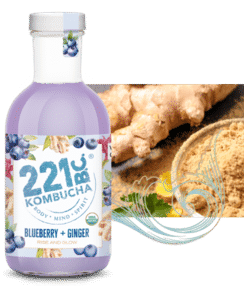 Kombucha Blueberry Ginger 16 oz Kombucha Blueberry Ginger 16 oz