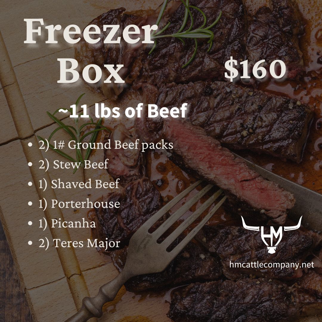 Freezer Box Freezer Box