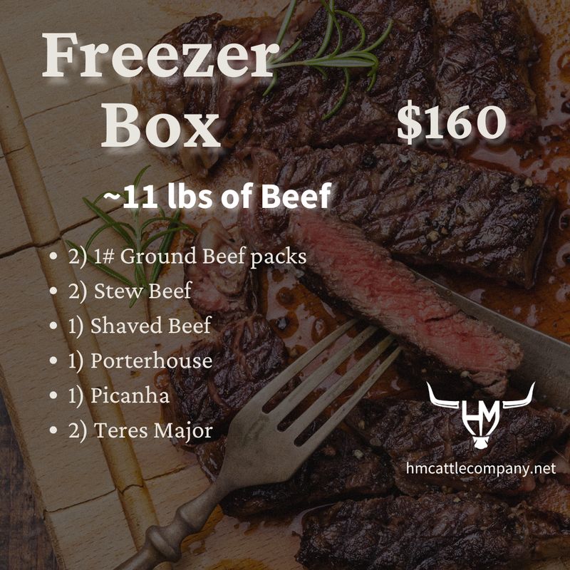 Freezer Box