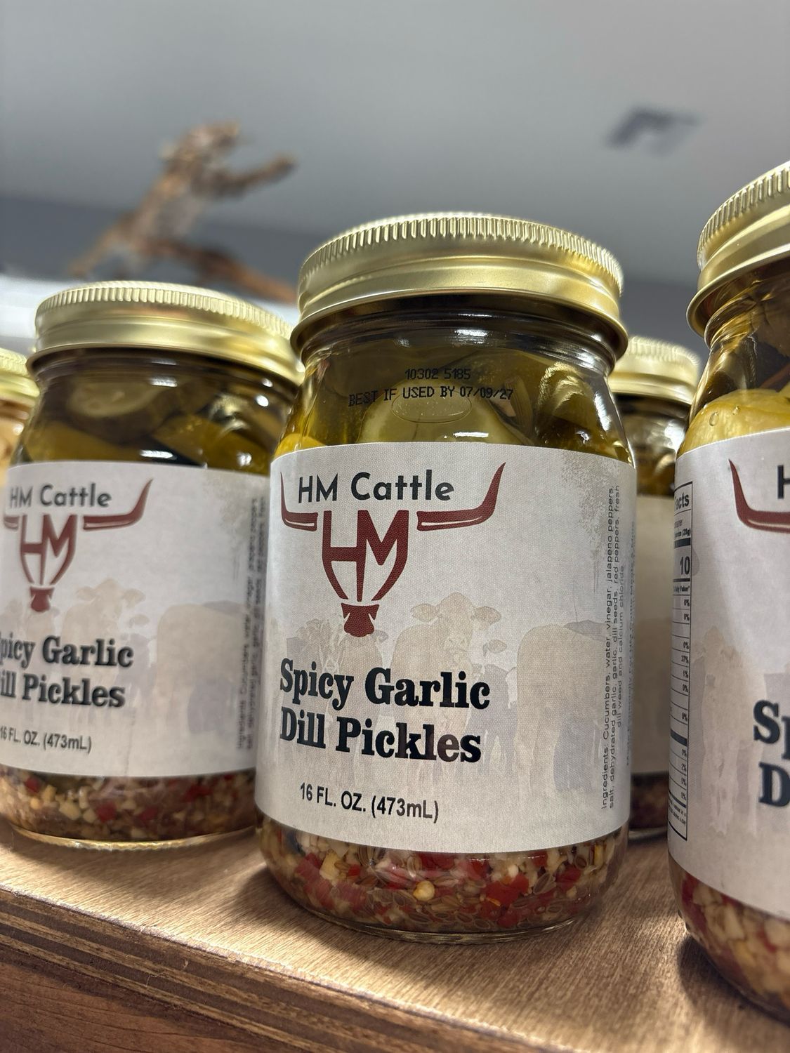 Spicy Garlic Dill Pickles Spicy Garlic Dill Pickles