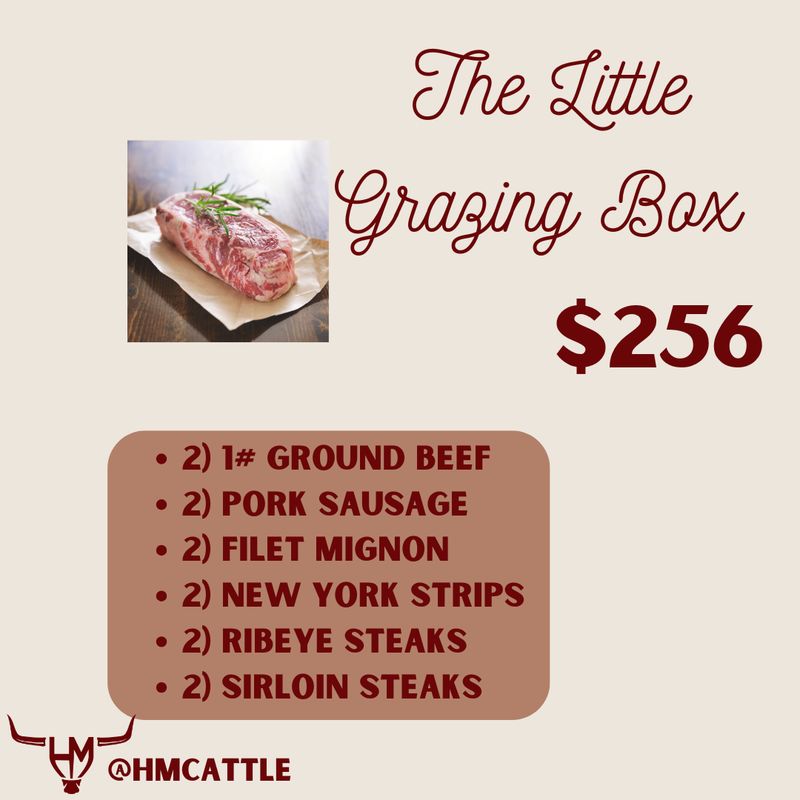 The Little Grazing Box