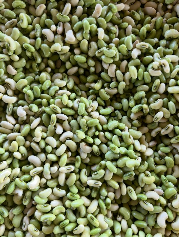 Fresh, local, shelled peas!