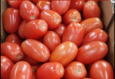 Ripe Roma Tomatoes, 25 lbs