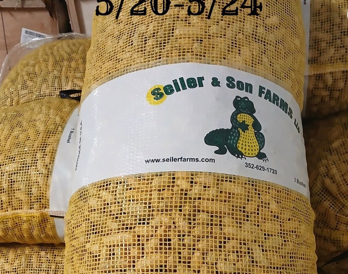 Florida Valencia Green Peanuts, bushel Florida Valencia Green Peanuts, bushel