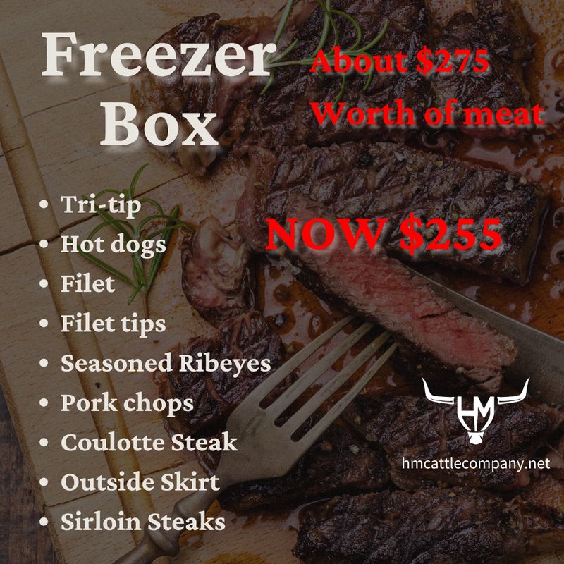 Freezer Box Freezer Box