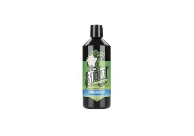 Biotat Natural numbing tattoo green soap concentrated, Volume (ml): 500 ml