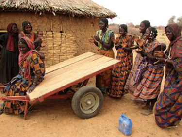 Share in a Donkey Cart Ambulance