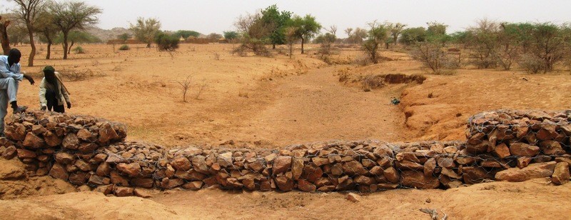 Saving the Soil