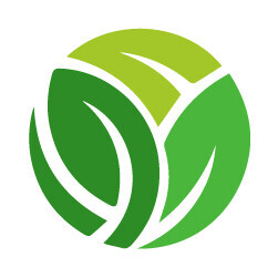 Online Store