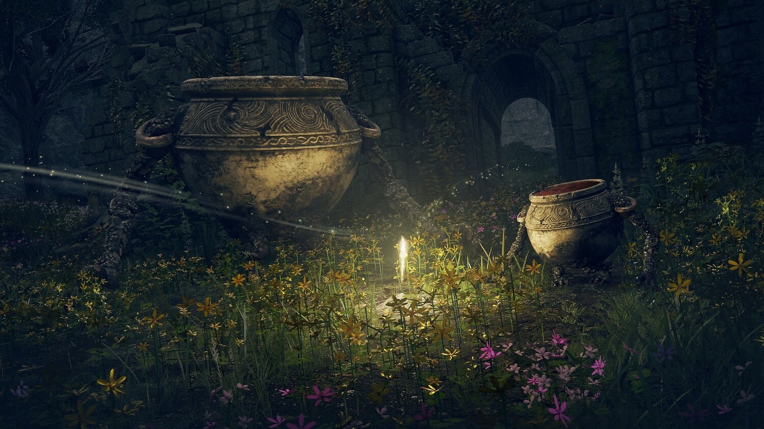 Elden Ring  Player For PS5 Console