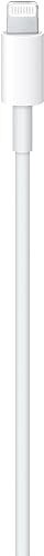 Apple USB-C to Lightning Cable (1 m)
