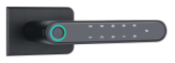 BLM-2 tuya Fingerprint door lock