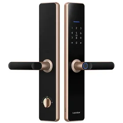 Locstar-A61 Wifi TTlock App Smart Door Lock Biometric Lock Fingerprint Door Handle Digital Keyless Lock