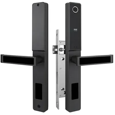 Locstar-C81 Best Patio Sliding Door Smart Locks With Handle Ttlock Bluetooth Lock Fingerprint iron Door Lock
