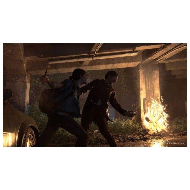 The Last of Us 2 / (PS4)