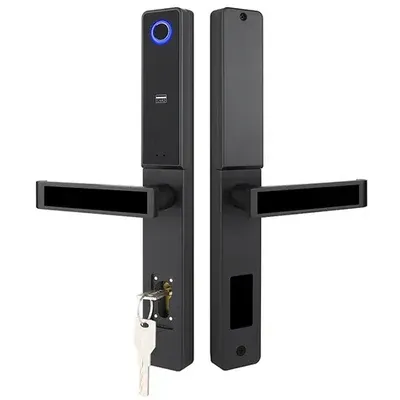 Locstar-C81 Best Patio Sliding Door Smart Locks With Handle Ttlock Bluetooth Lock Fingerprint iron Door Lock