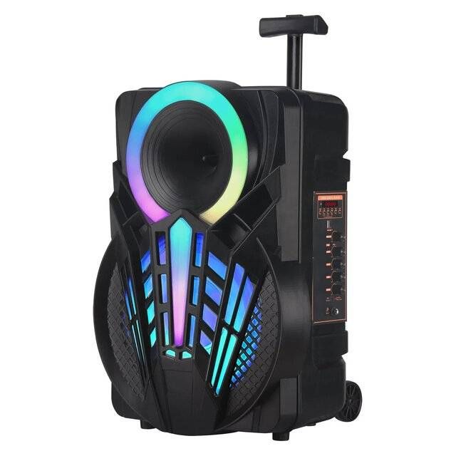 NDR-P12 [12&quot;] Speaker