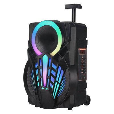 NDR-P12 [12&quot;] Speaker