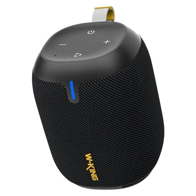 W-King D120 Speaker