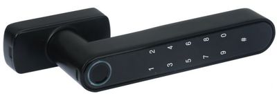 3SCH-2 tuya Fingerprint door lock