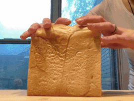 Shokupan &amp; Festivals 09/14/23