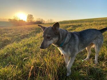 Online-Veranstaltungen