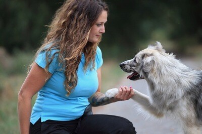 Webinar Webinar "Führungskompetenz beim Hund"