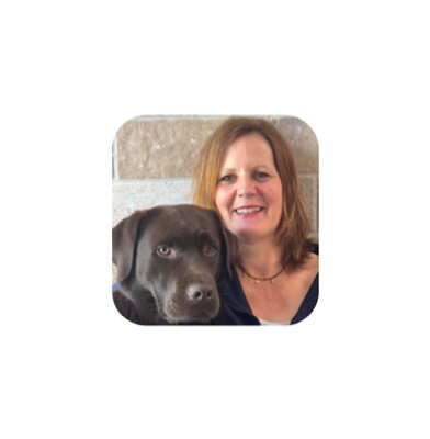 Webinar Webinar "Alte Hunde und die Ernährung"