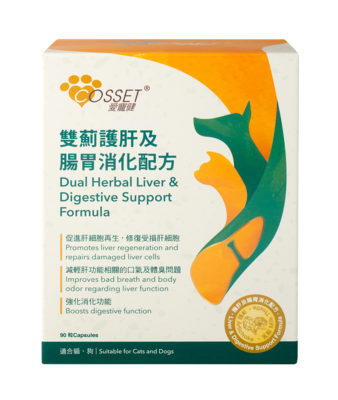 Dual Herbal Liver & Digestive Support Formula