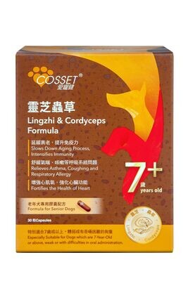 Ganoderma and Cordyceps Formula for Elderly Dogs