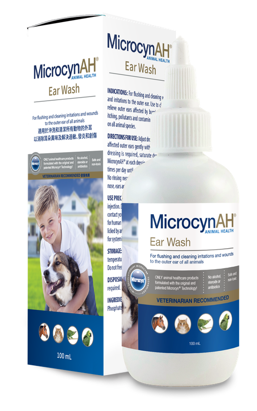 寵物神仙洗耳水