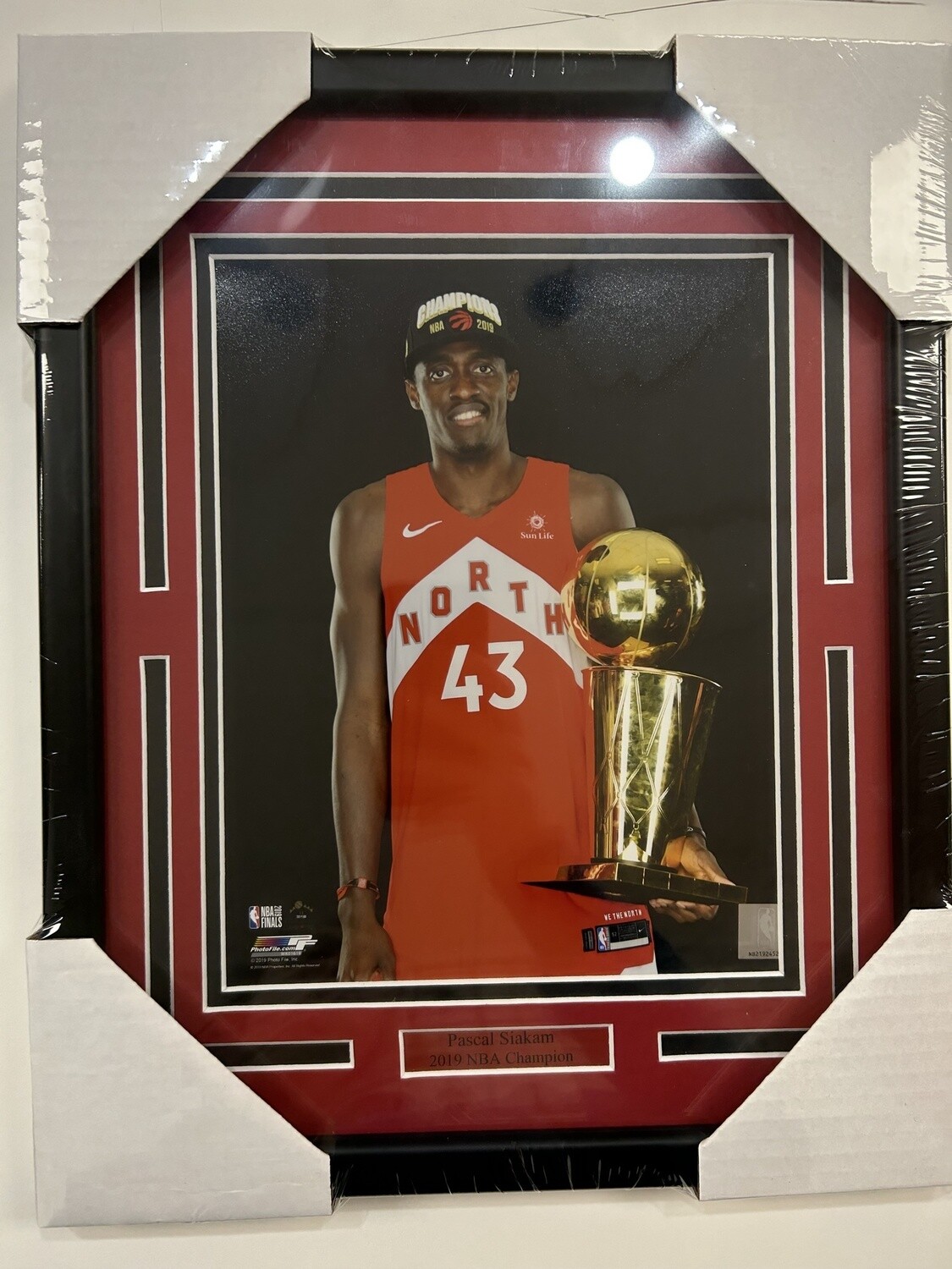 PASCAL SIAKAM - TORONTO RAPTORS 11X14 FRAME