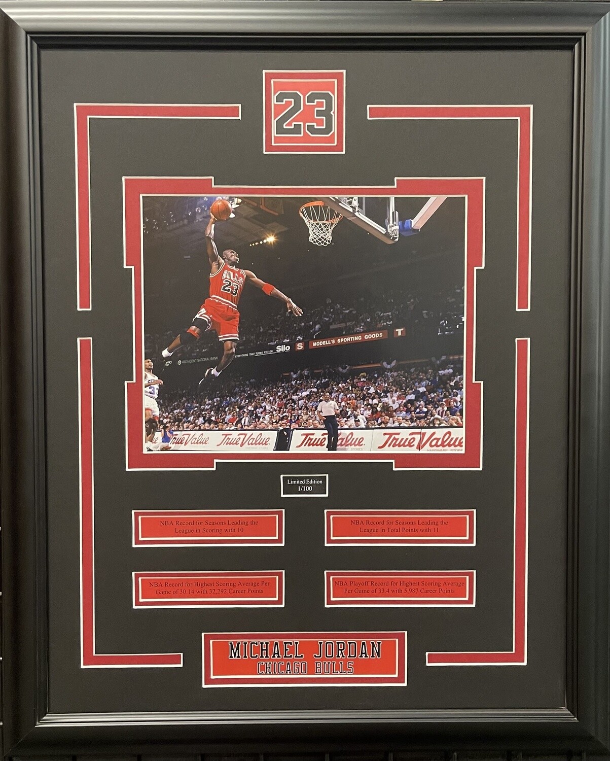 MICHAEL JORDAN - LIMITED EDITION 16X20 FRAME #/100 CHICAGO BULLS