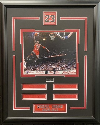 MICHAEL JORDAN - LIMITED EDITION 16X20 FRAME #/100 CHICAGO BULLS