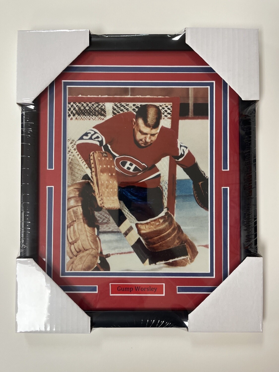 GUMP WORSLEY - MONTREAL CANADIENS 11X14 FRAME