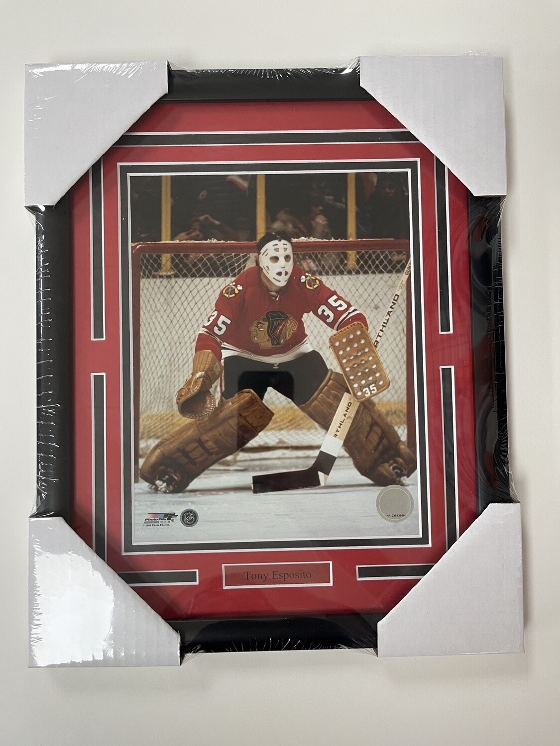 TONY ESPOSITO - CHICAGO BLACKHAWKS 11X14 FRAME