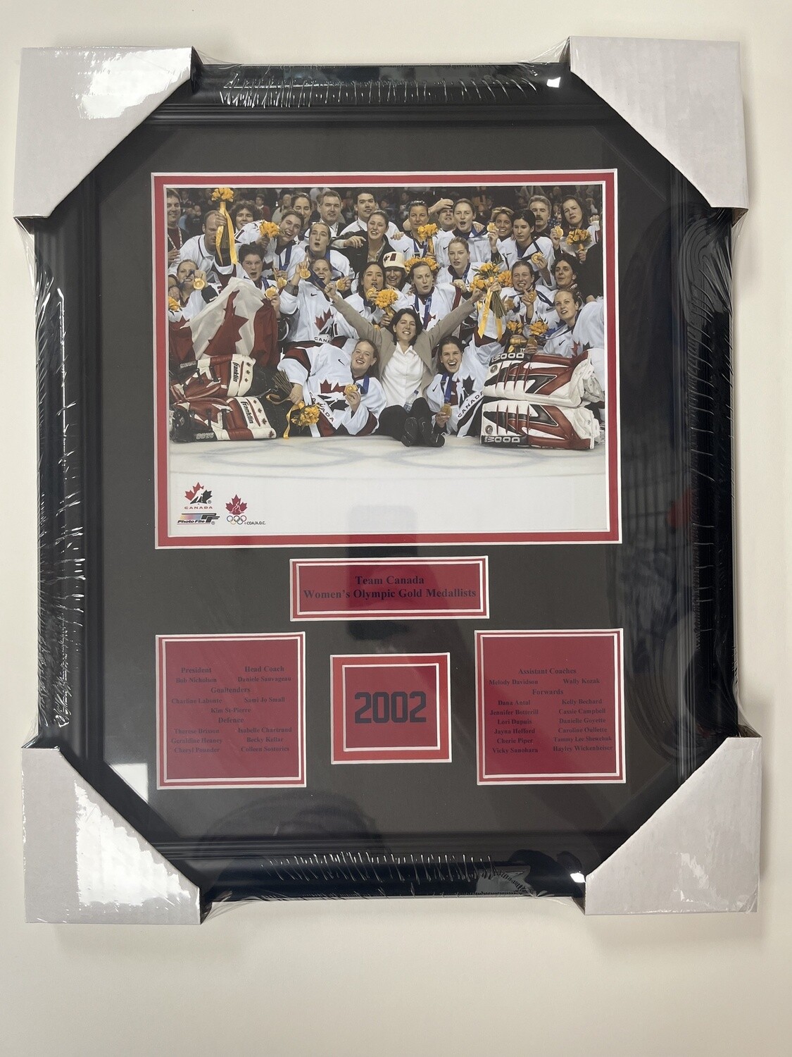 2002 WOMENS OLYMPIC GOLD - TEAM CANADA 13X16 FRAME